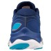 Mizuno WAVE SKYRISE 4 Кроссовки беговые Темно-синий/Голубой